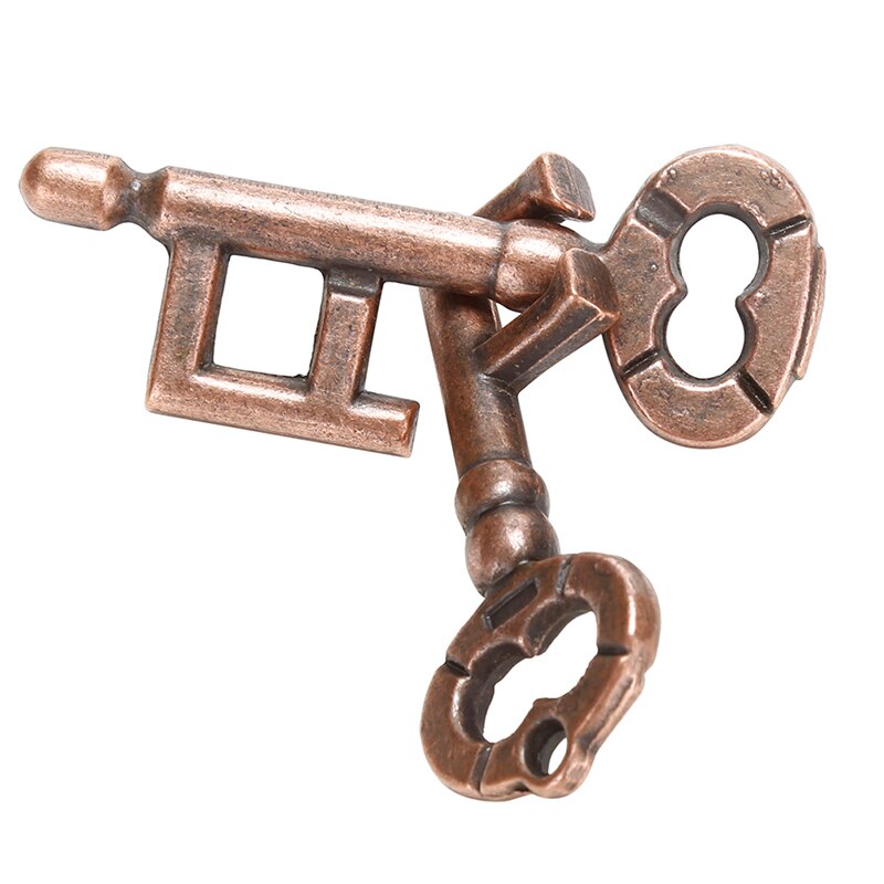 Alloy Key Ring Puzzle Game