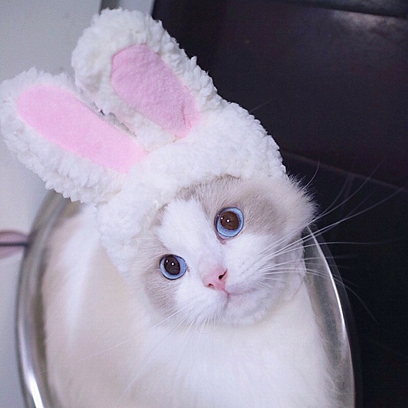 Cute Lion Mane Cat Wig