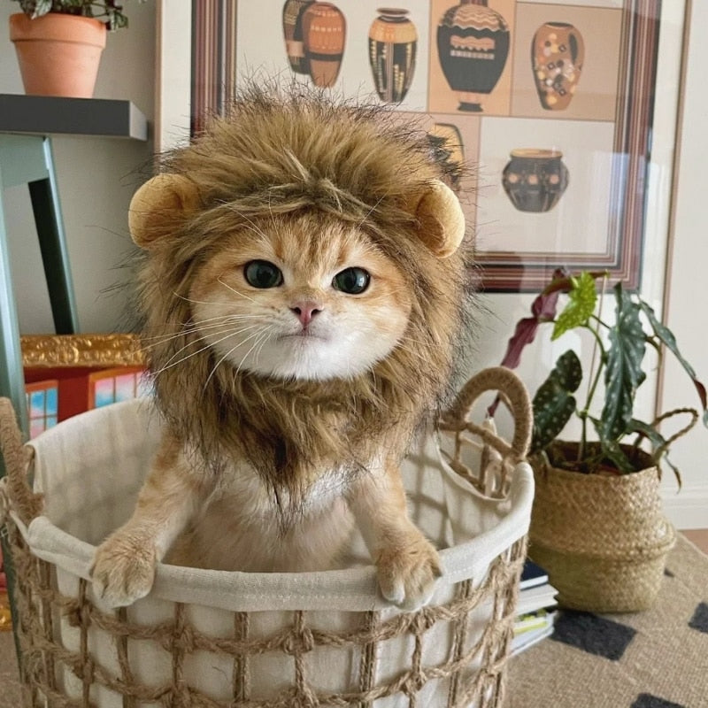 Cute Lion Mane Cat Wig