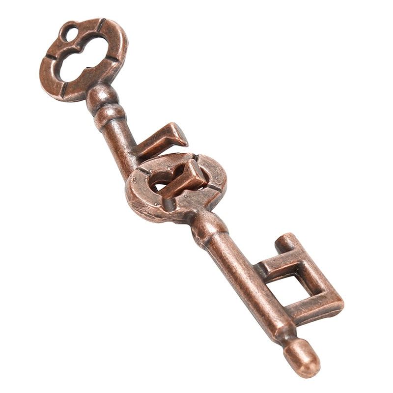 Alloy Key Ring Puzzle Game