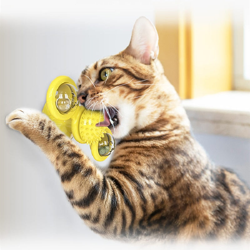 Cat toy Turntable Teasing Interactive cat toy