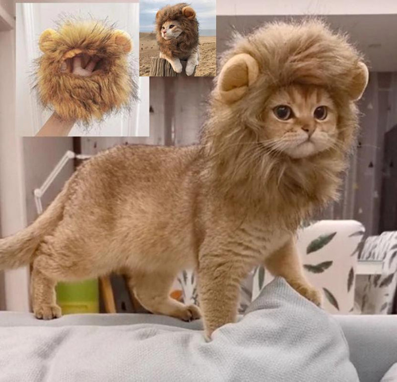 Cute Lion Mane Cat Wig