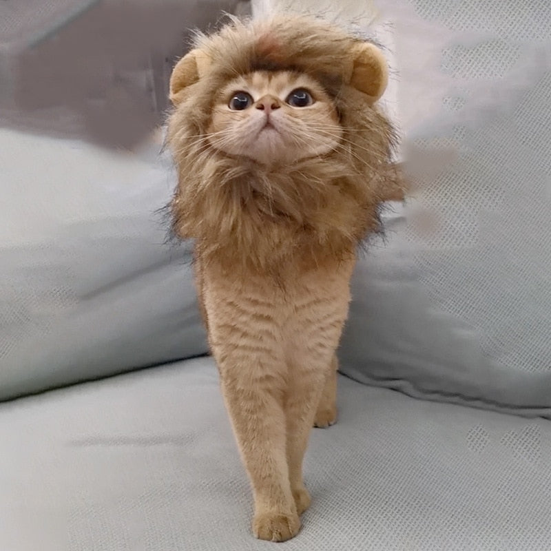 Cute Lion Mane Cat Wig