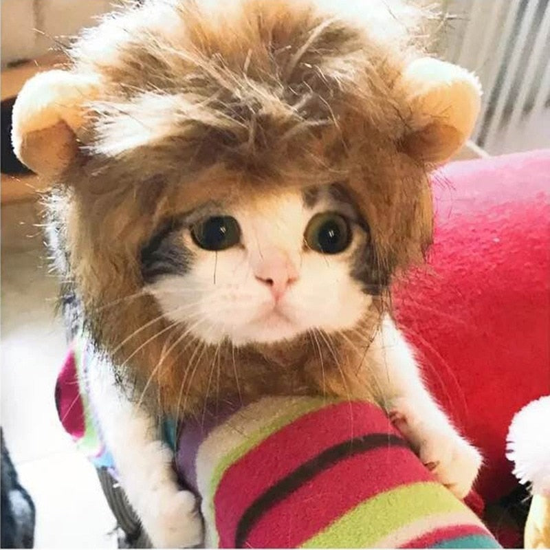 Cute Lion Mane Cat Wig