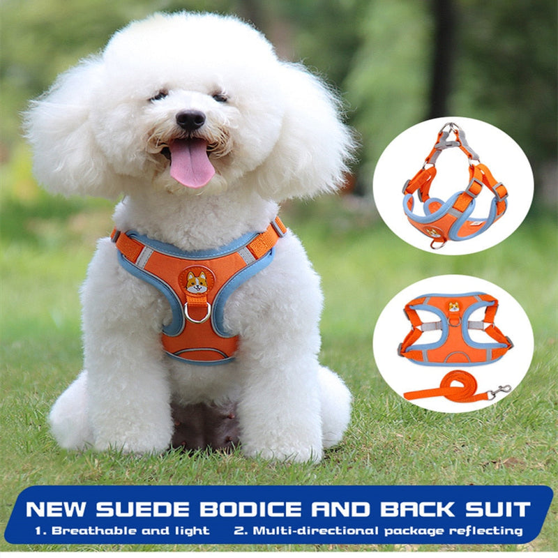 Dog Harnesses Personalized Pet Vest  for Small Dogs Kawaii