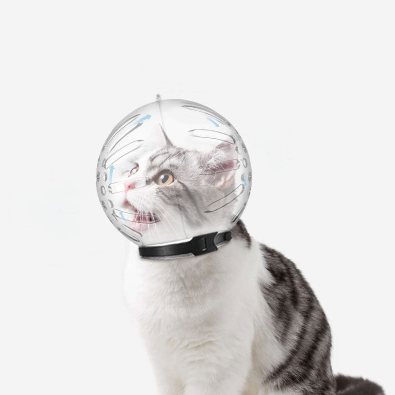 Breathable Cat Space Hood plastic Helmet