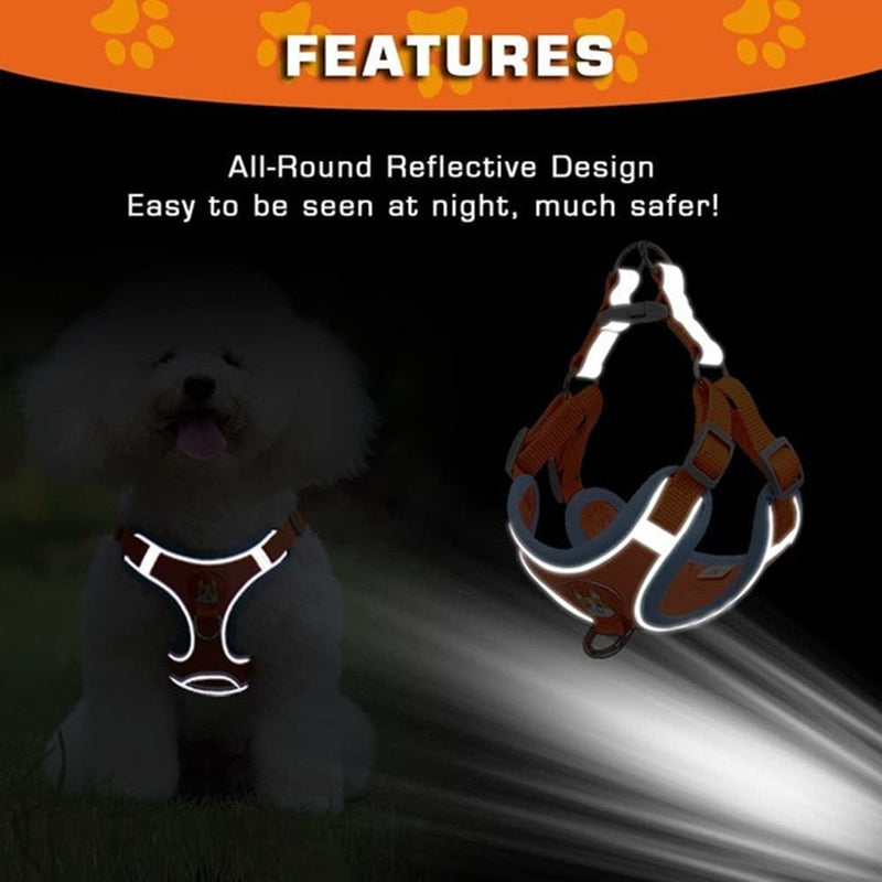 Dog Harnesses Personalized Pet Vest  for Small Dogs Kawaii