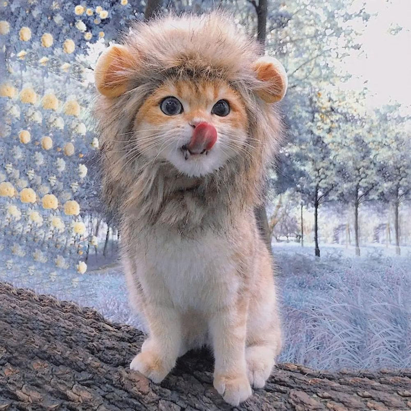 Cute Lion Mane Cat Wig